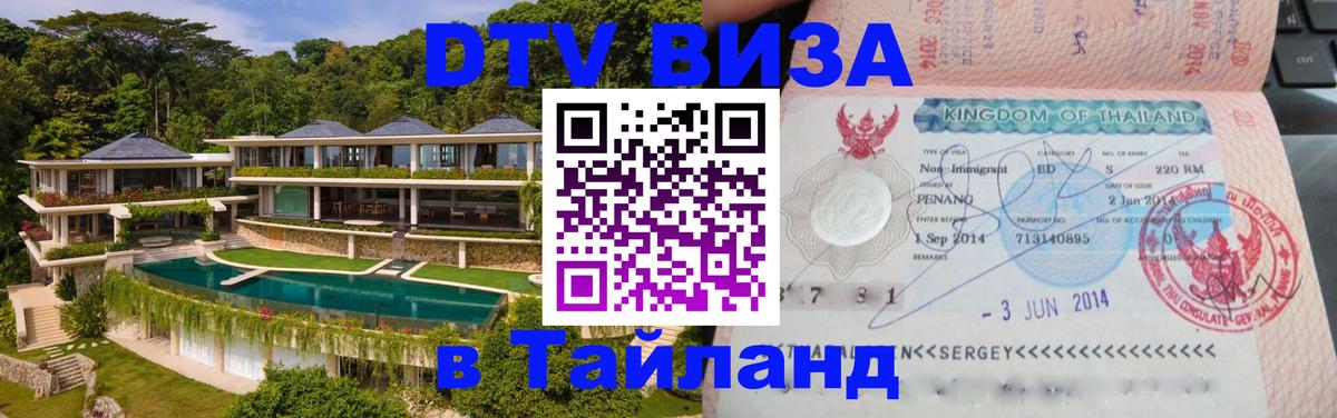 Оформление DTV визы под ключ: стоимость и тарифы, только загранпаспорт - 